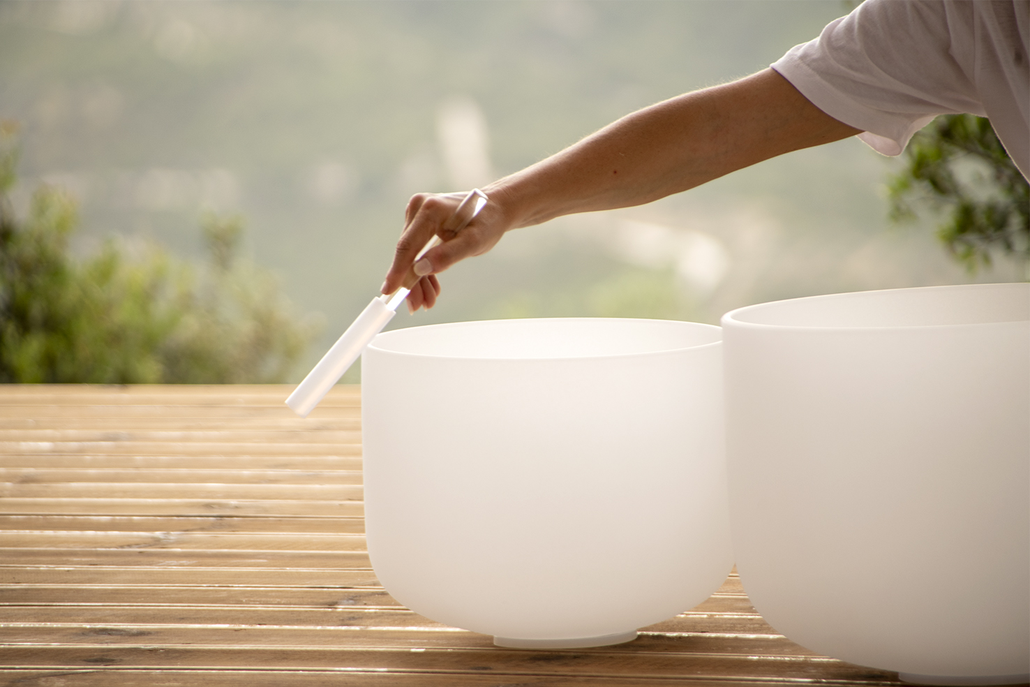Wellness & Retreats
